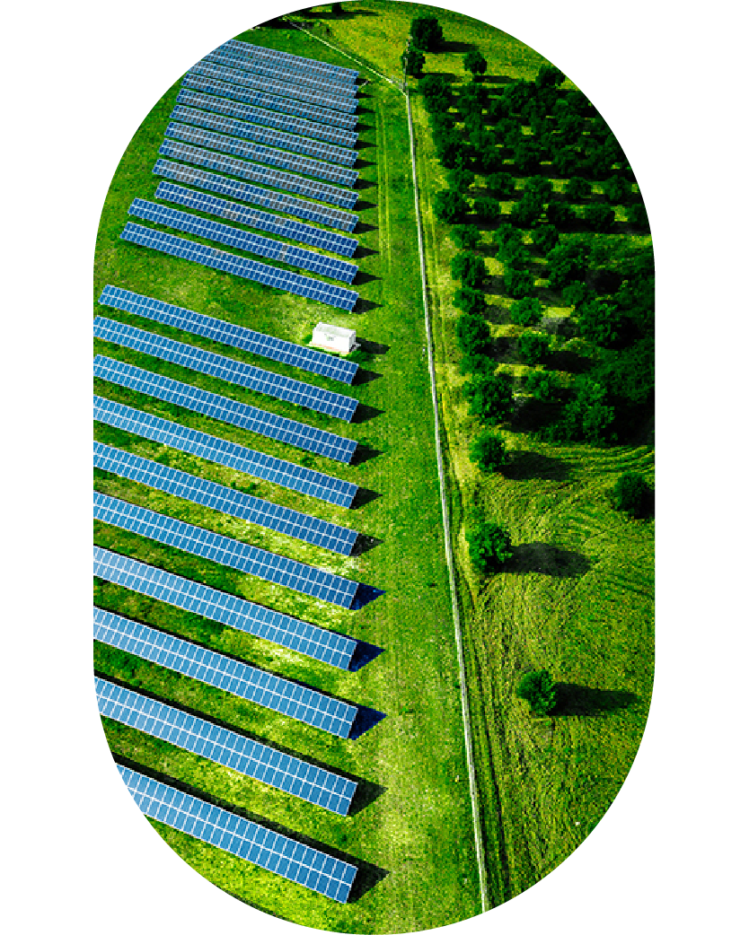 Widok z góry na farmę fotowoltaiczną