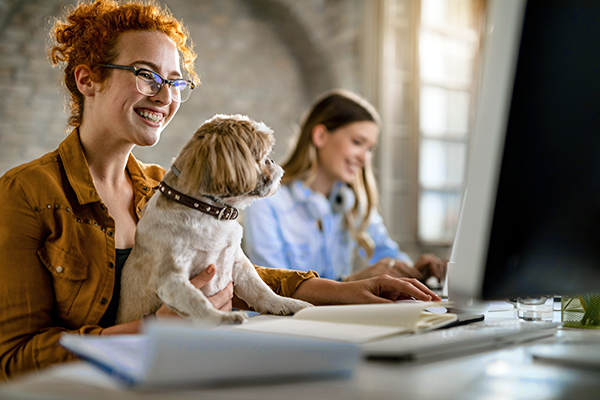 Właścicielka firmy z psem na kolanach odebiera na komputerze fakturę za prąd i erozliczenie